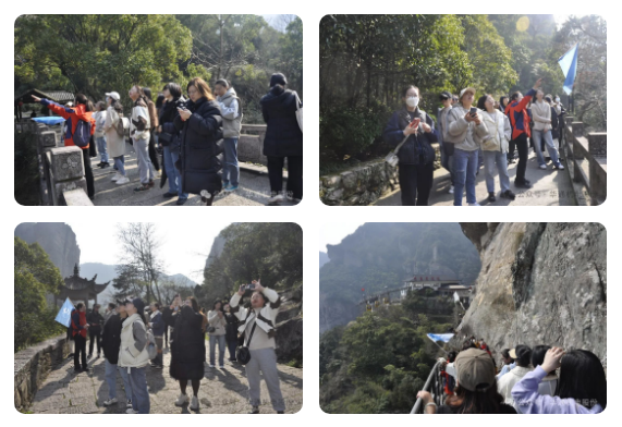 1709882080150966.png 1709881278889.png